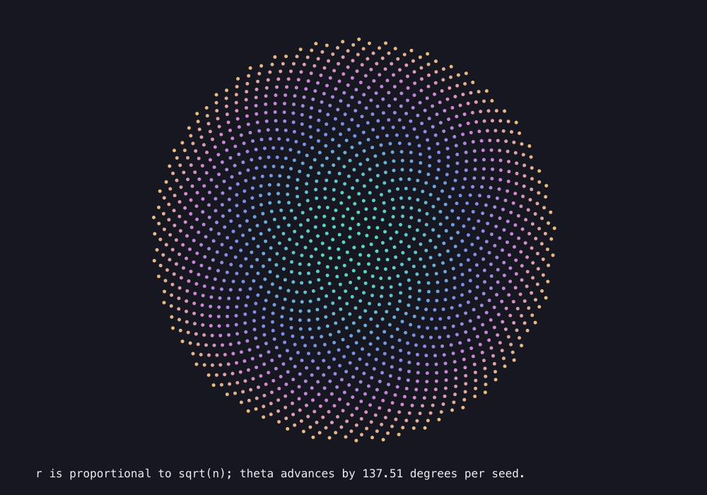 Output generated by this C program: Golden-angle seeds